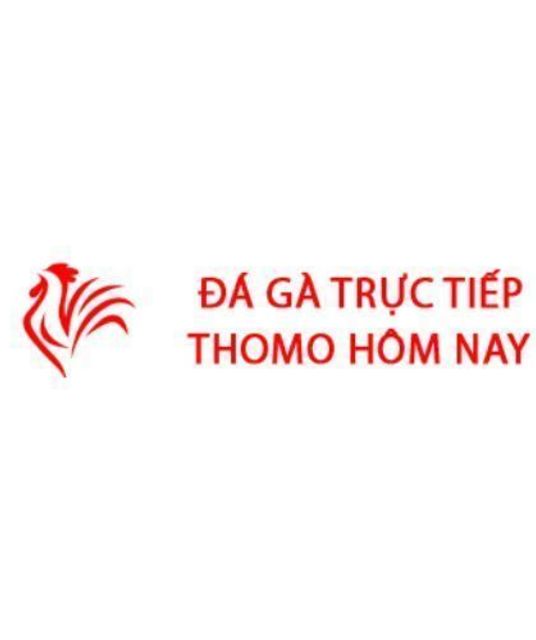 avatar Đá Gà Trực Tiếp Thomo Hôm Nay