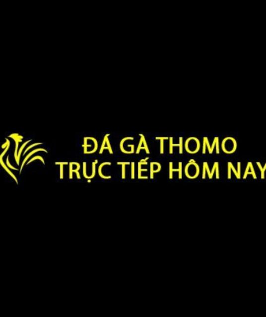 avatar Đá Gà Thomo Trực Tiếp