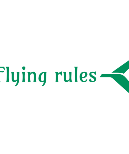 avatar Flying Rules